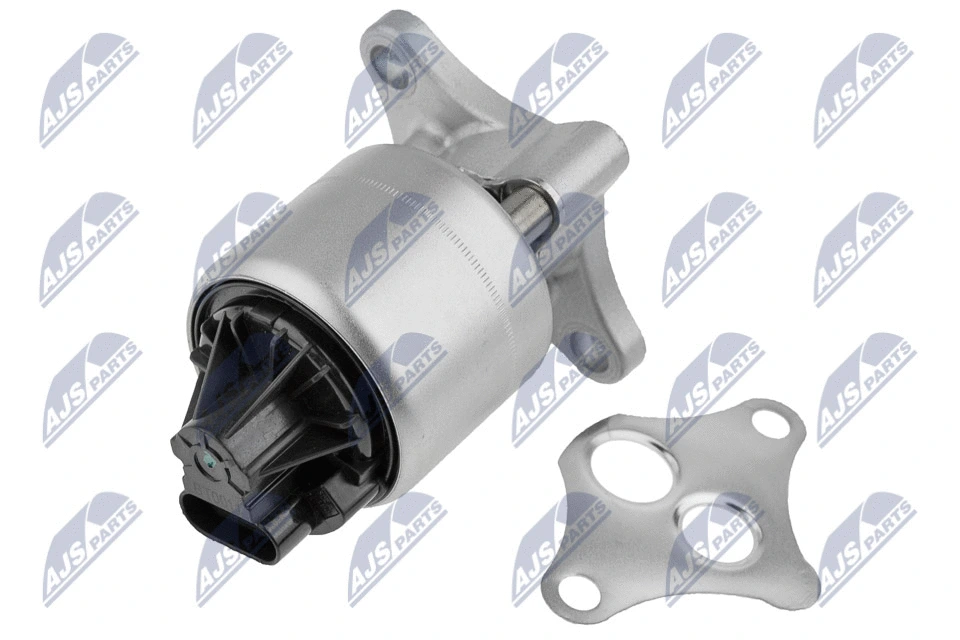 EGR Valve (EGR-DW-008)