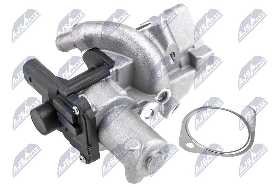 EGR Valve (EGR-NS-015)