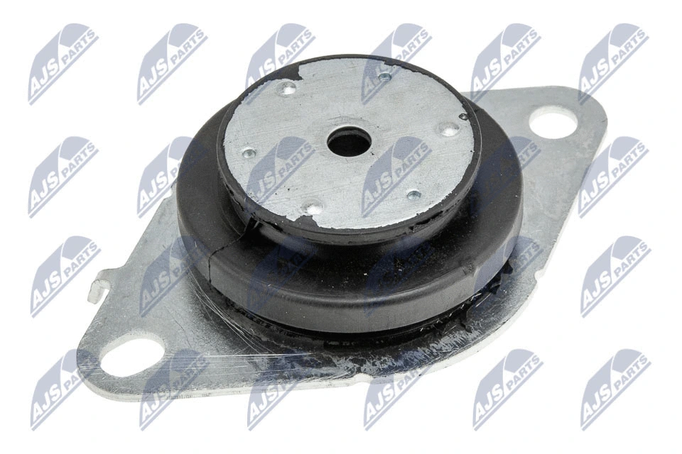 Mounting, engine (ZPS-RE-061)