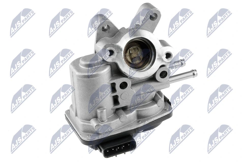 EGR Valve (EGR-NS-000)