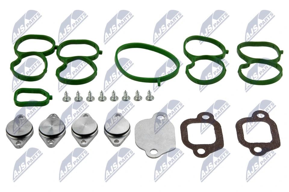 Intake Manifold Module (BKS-PL-006)