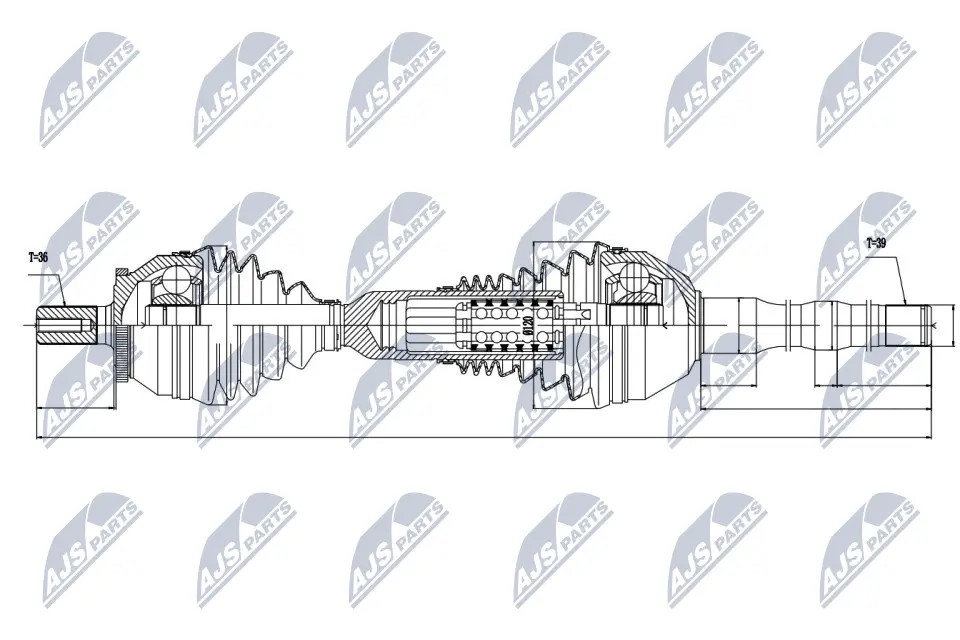 Drive Shaft (NPW-VV-048)