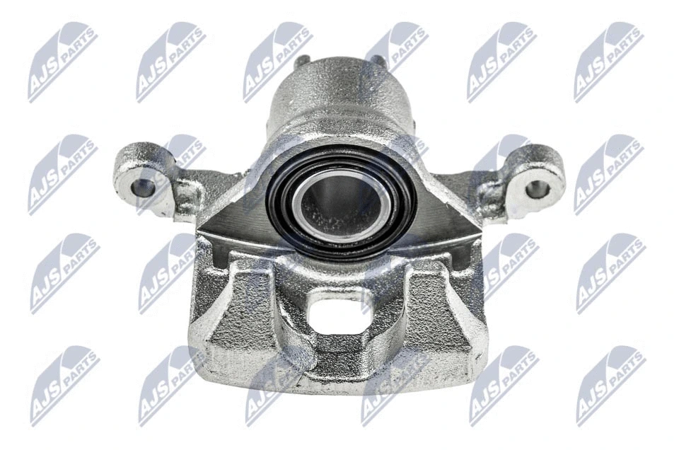 Brake Caliper (HZT-SB-007)