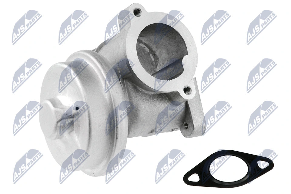 EGR Valve (EGR-FR-002)