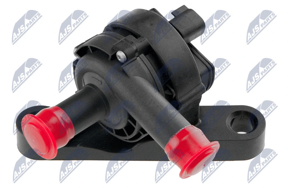 Auxiliary Water Pump (cooling water circuit) (CPZ-CH-001)
