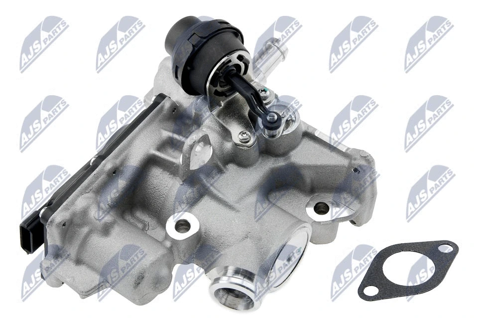 EGR Valve (EGR-RE-010)