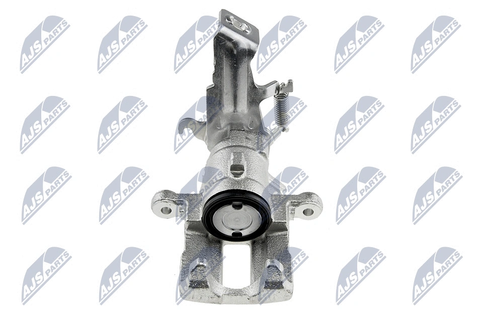 Brake Caliper (HZT-NS-007)