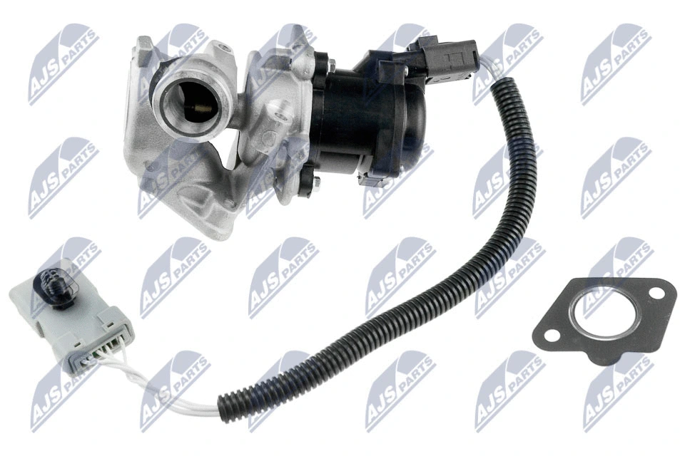 EGR Valve (EGR-FR-001)