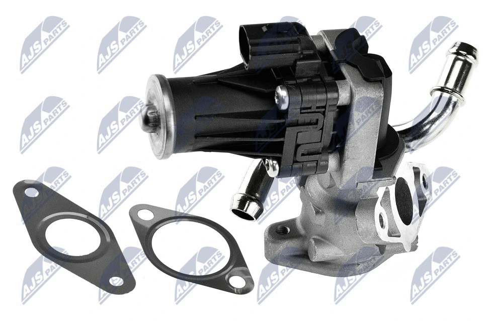 EGR Valve (EGR-FR-006)