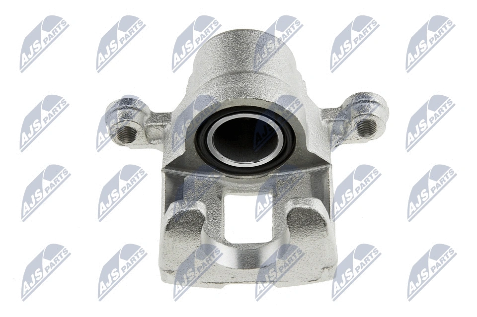 Brake Caliper (HZT-NS-017)