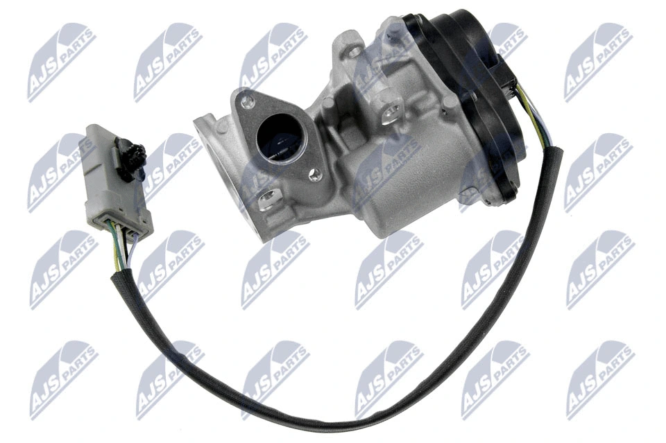 EGR Valve (EGR-LR-004)