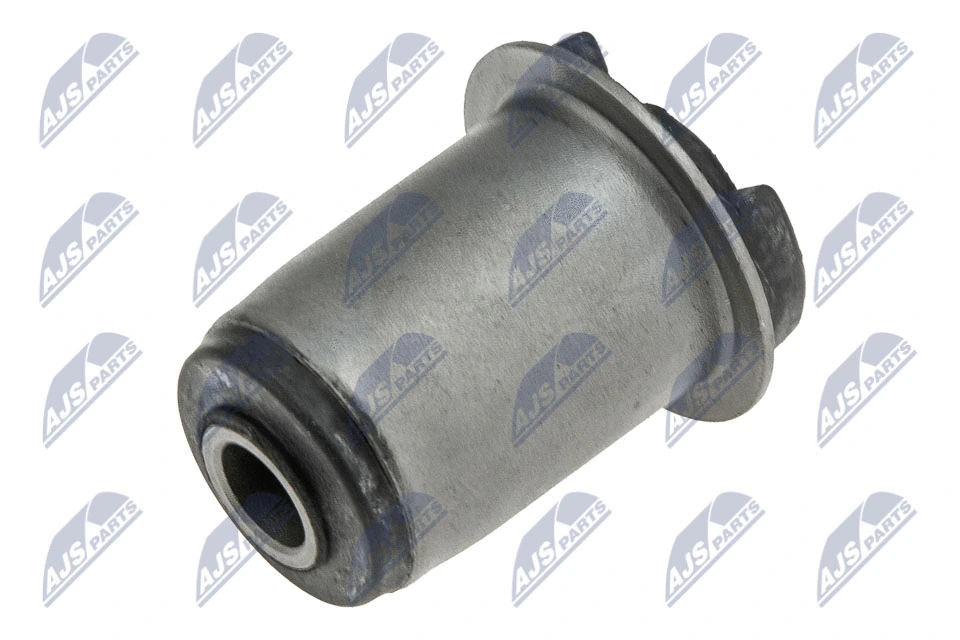 Mounting, control/trailing arm