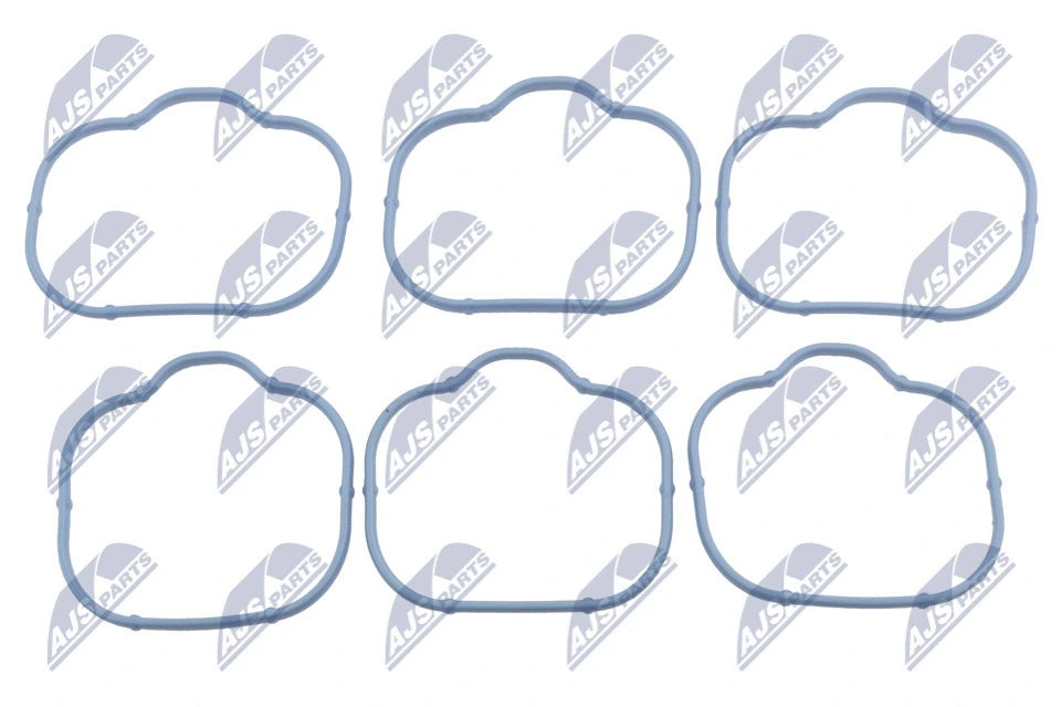 Gasket, intake manifold (BKS-CH-003A)