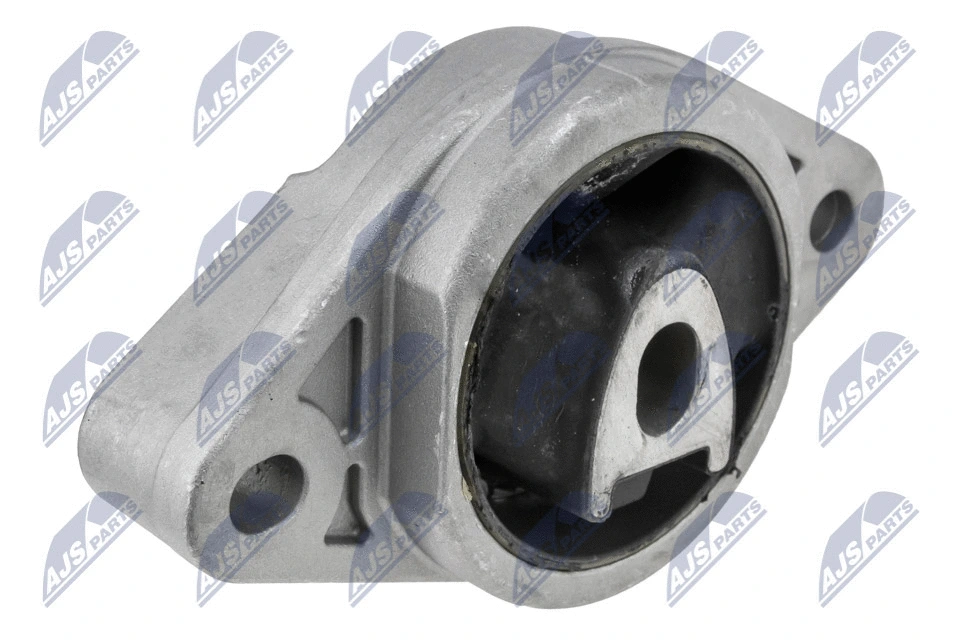 Mounting, engine (ZPS-RE-065)