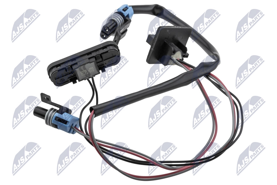 Switch, door lock system