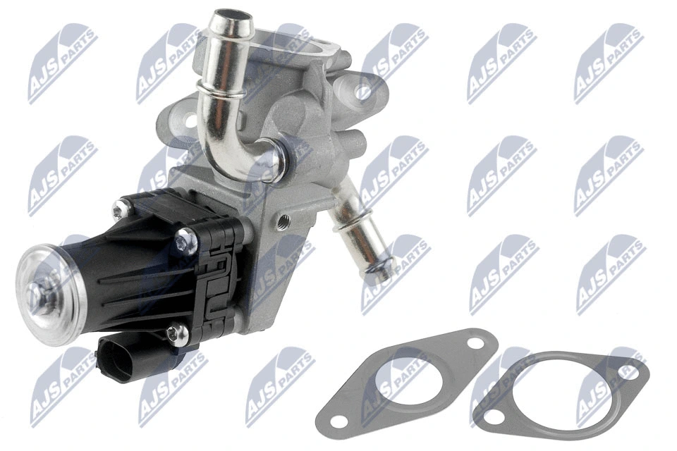 EGR Valve (EGR-FR-007)