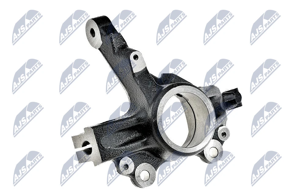 Steering Knuckle, wheel suspension (ZZP-PL-011)