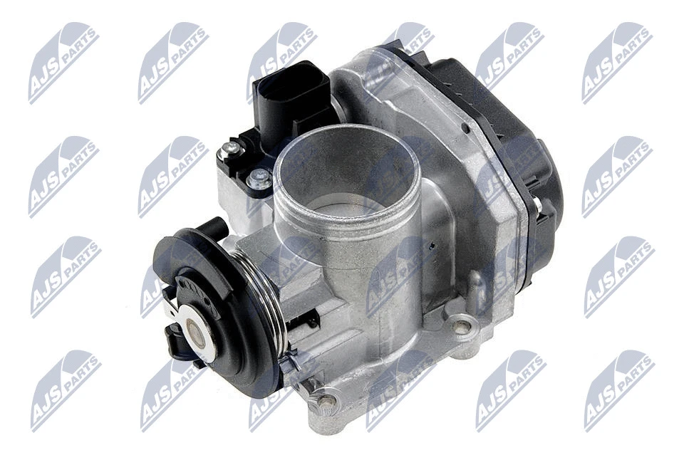 Throttle Body (ETB-VW-010)