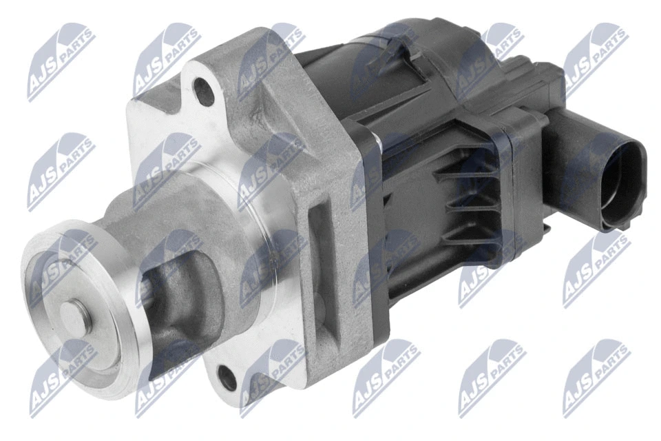EGR Valve (EGR-PL-020)