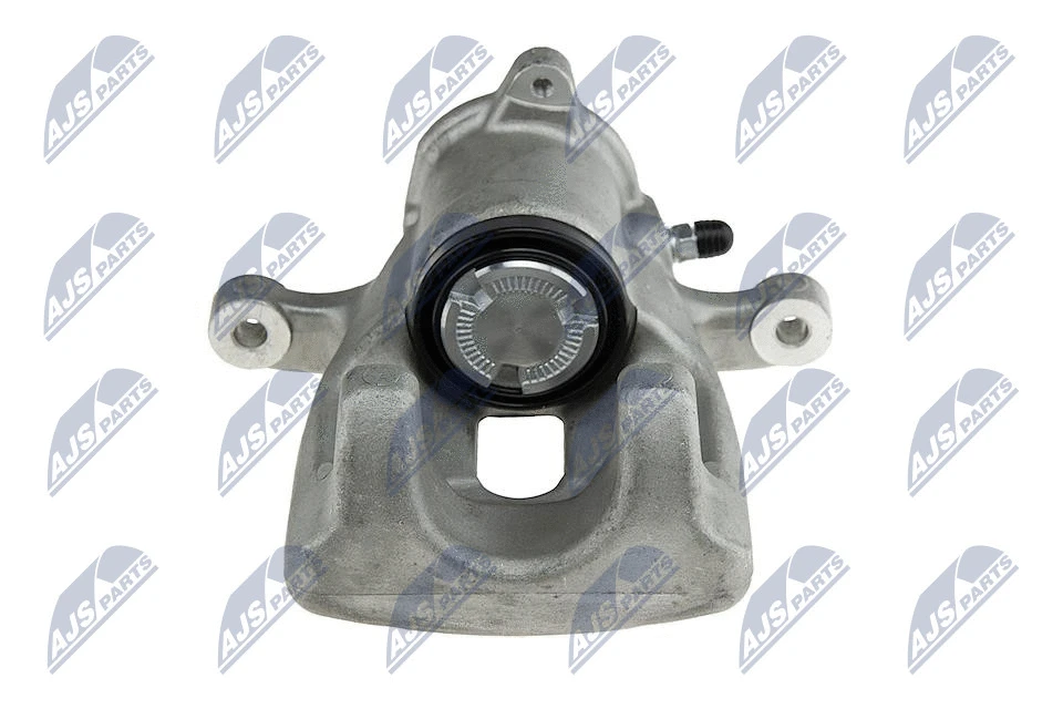 Brake Caliper (HZT-RE-022)