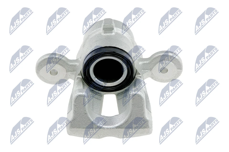 Brake Caliper (HZT-BM-028)