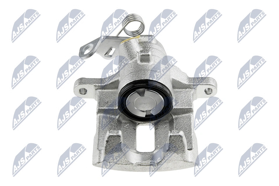 Brake Caliper (HZT-PL-000)