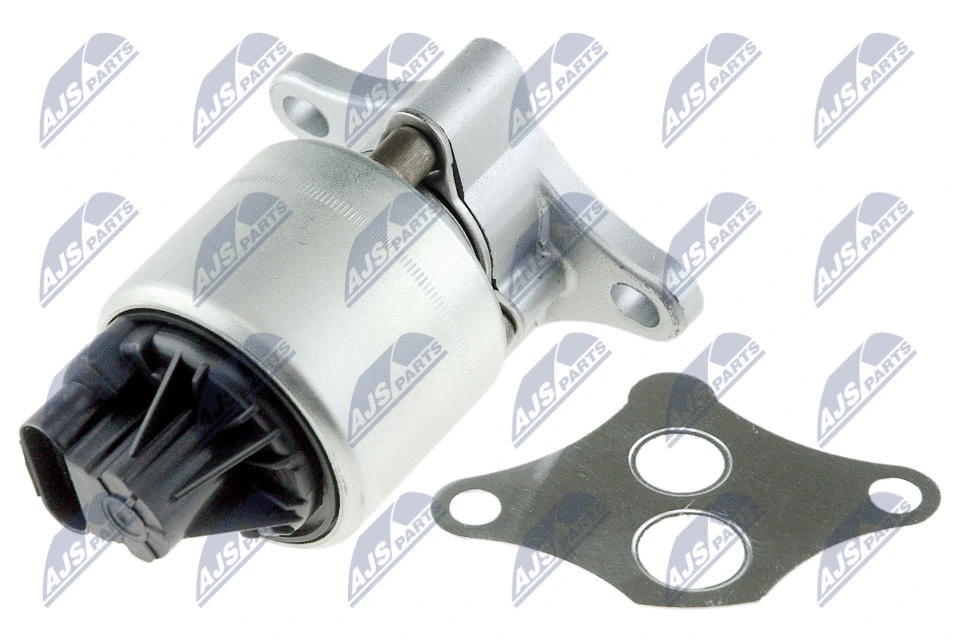 EGR Valve (EGR-PL-005)