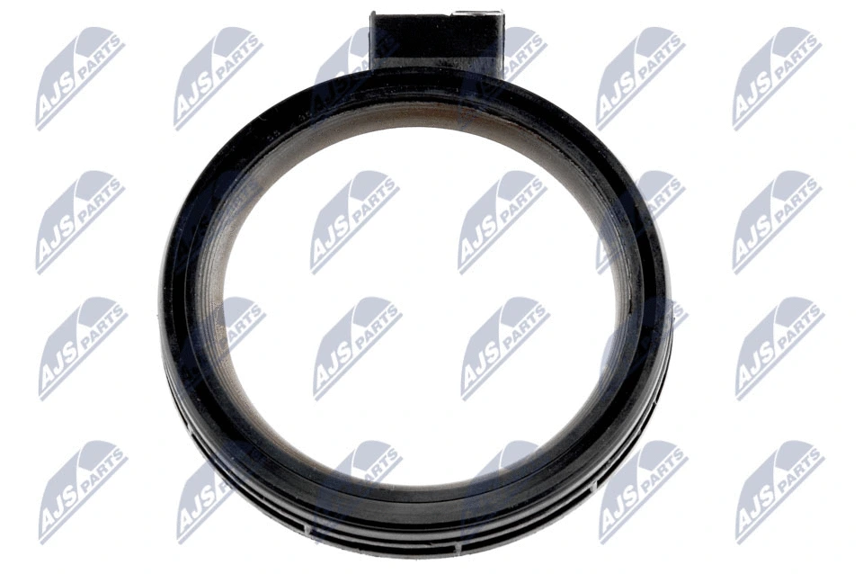 Shaft Seal, crankshaft (NUP-PL-002)