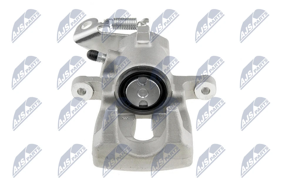 Brake Caliper (HZT-RE-009)