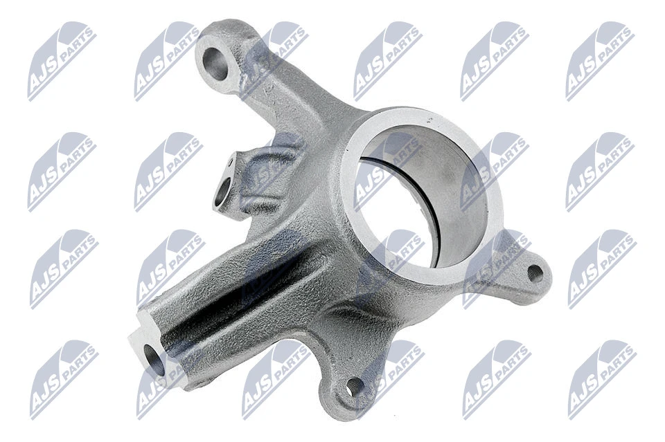 Steering Knuckle, wheel suspension (ZZP-PL-000)