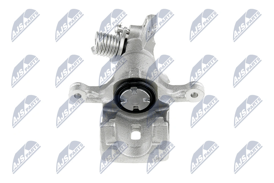 Brake Caliper (HZT-NS-019)