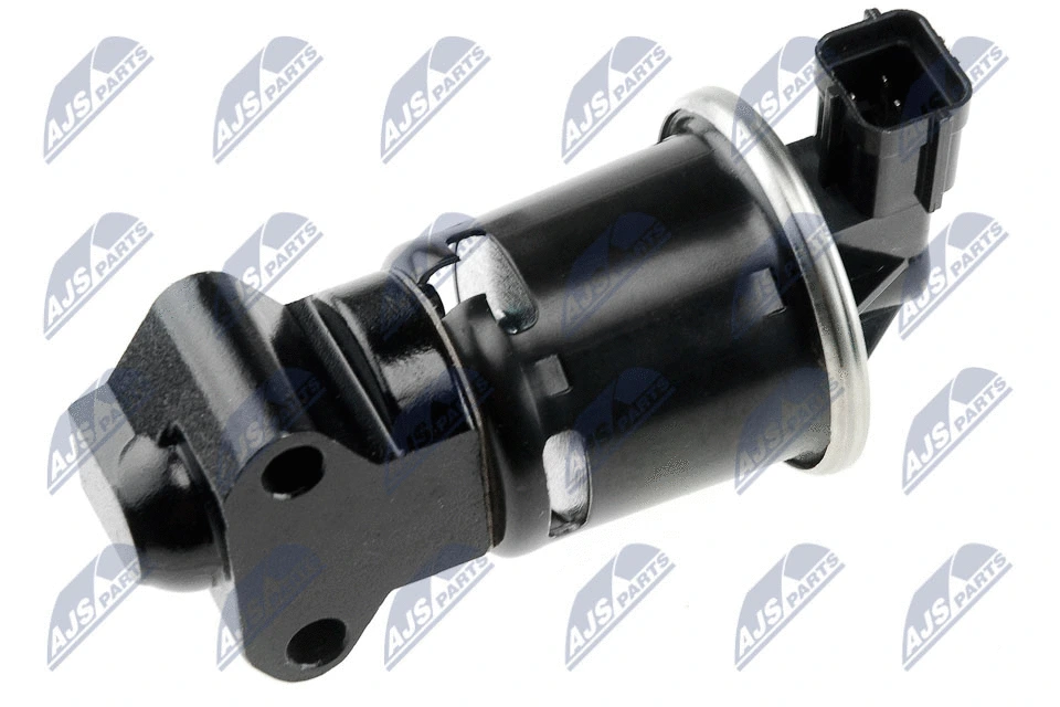 EGR Valve (EGR-DW-003)