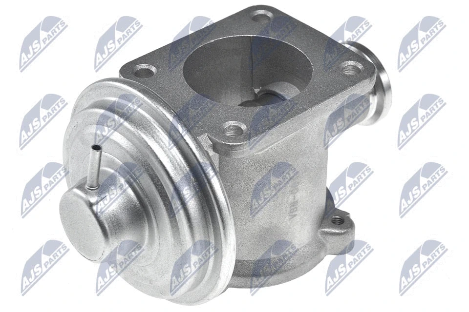 EGR Valve (EGR-BM-001)