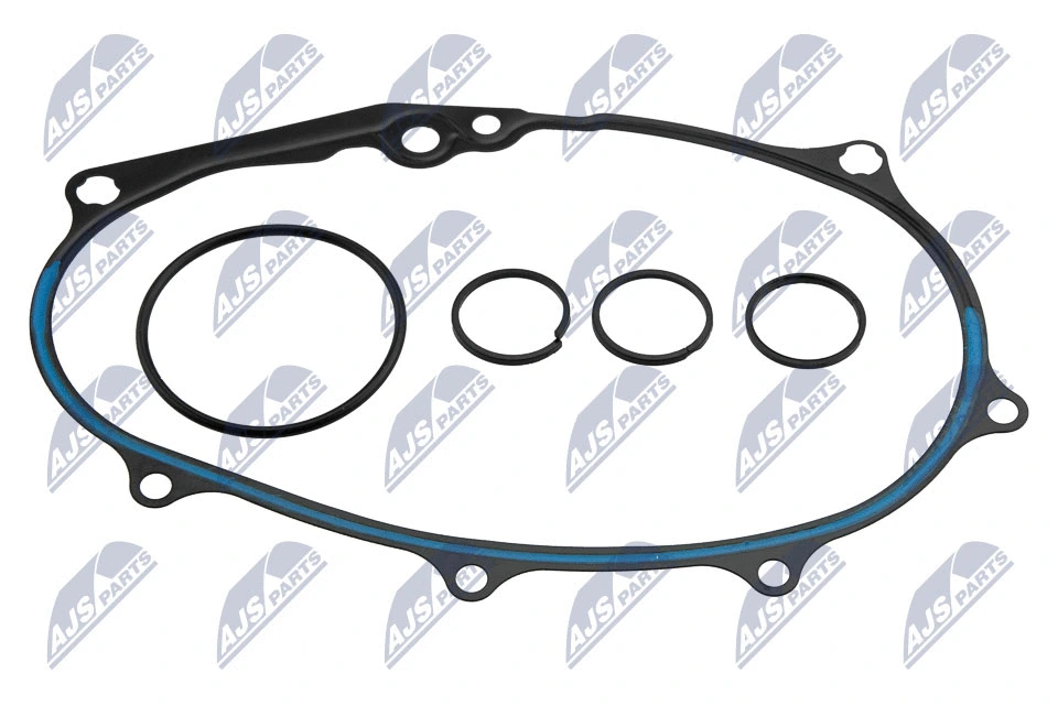 Gasket, timing case (ENK-VW-012)