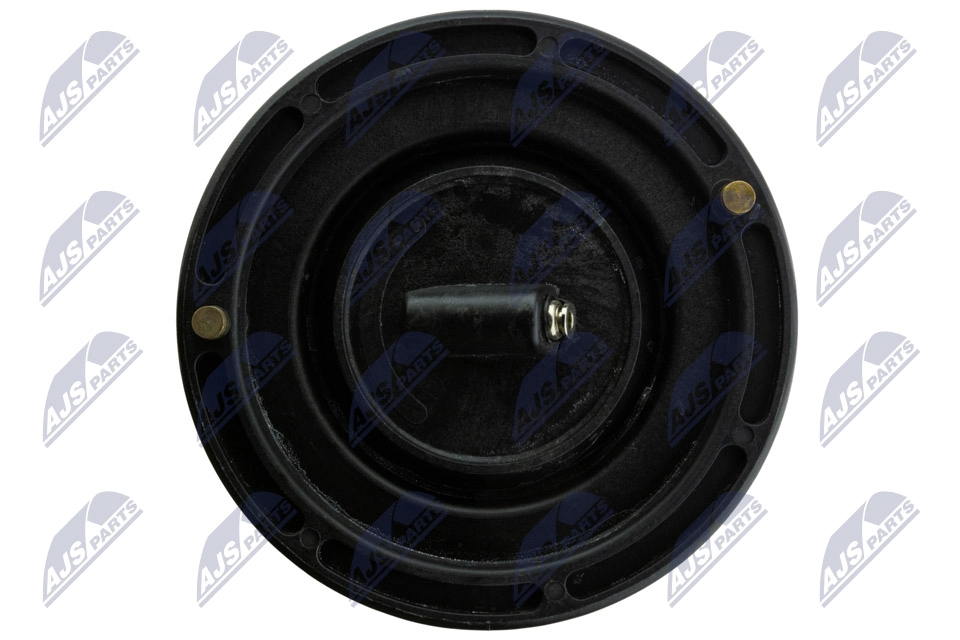 Air Spring, suspension