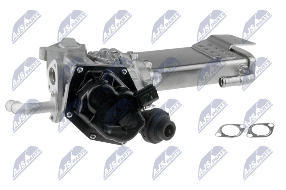 EGR Module