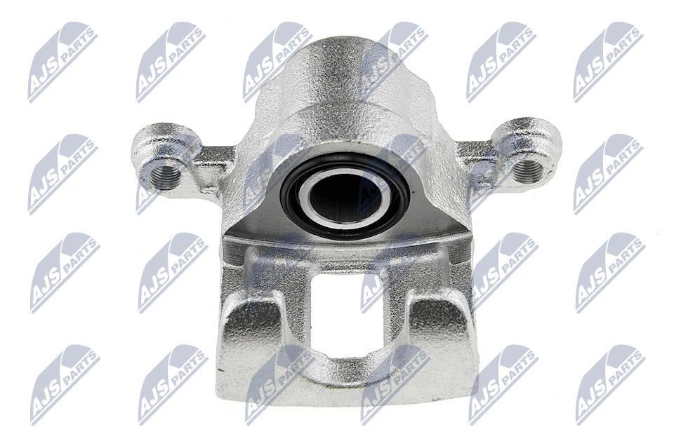 Brake Caliper (HZT-NS-021)