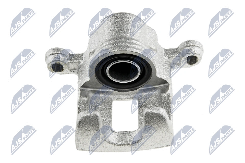Brake Caliper (HZT-NS-013)