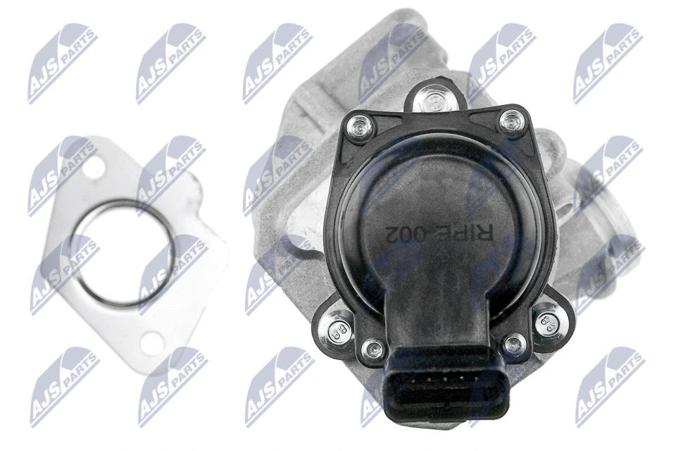 EGR Valve