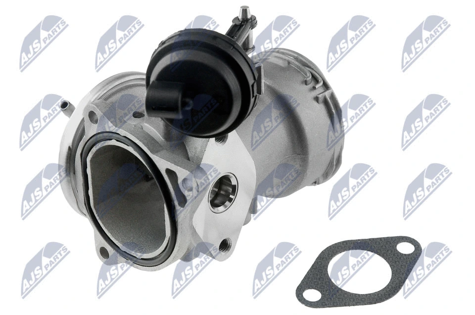 EGR Valve (EGR-SE-000)