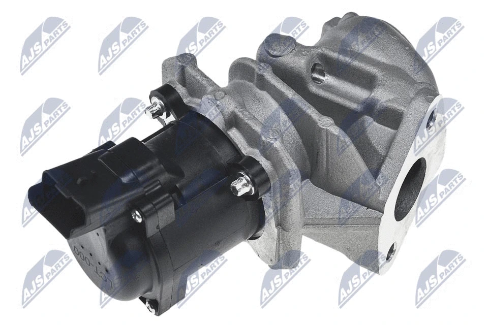 EGR Valve (EGR-CT-000)