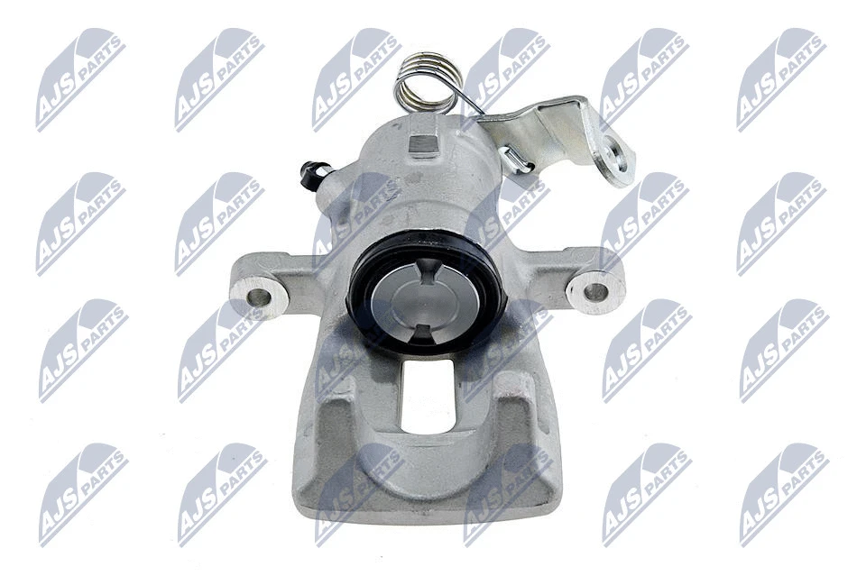 Brake Caliper (HZT-PL-019)