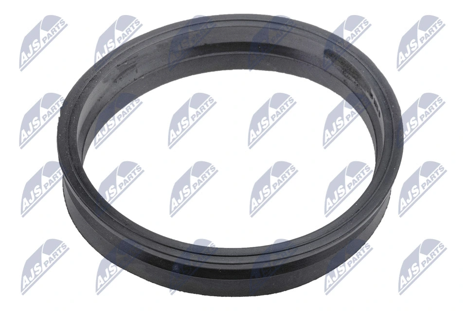 Gasket, fuel pump (BPP-VW-007)