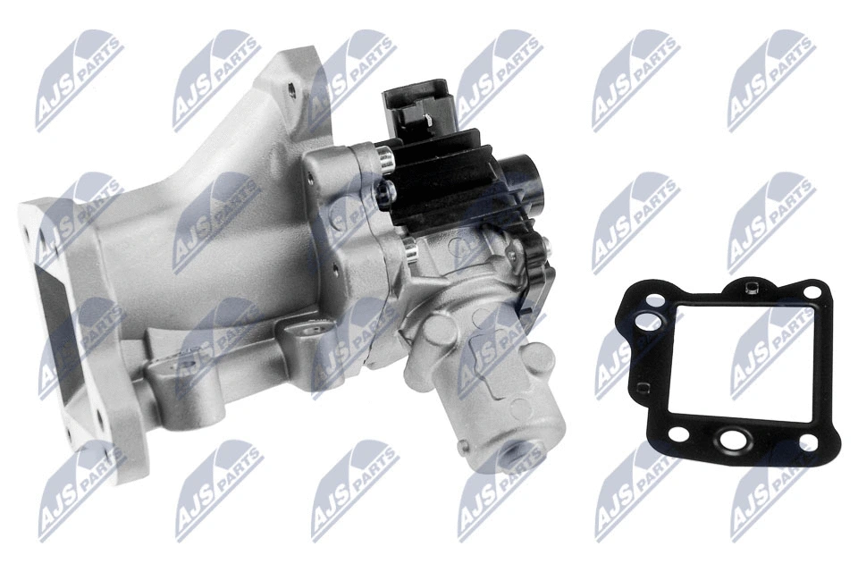 EGR Valve (EGR-FR-008)