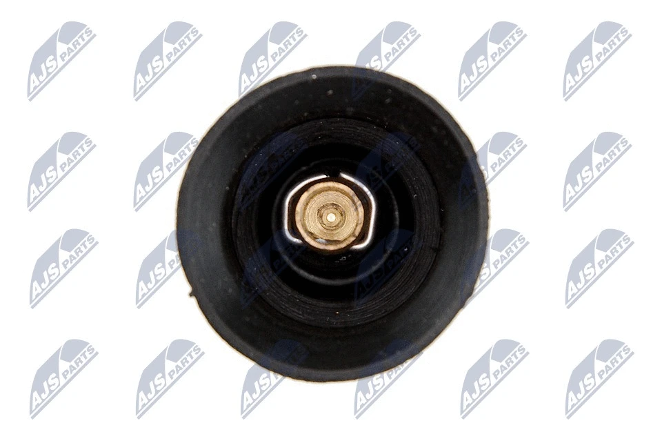 Plug, coil