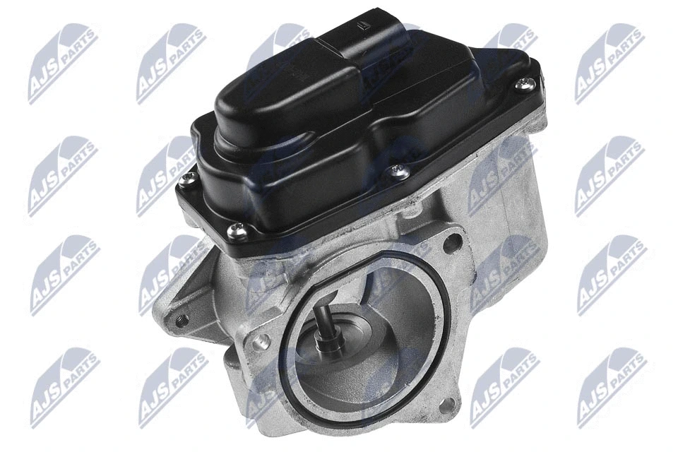 EGR Valve (EGR-AU-002)