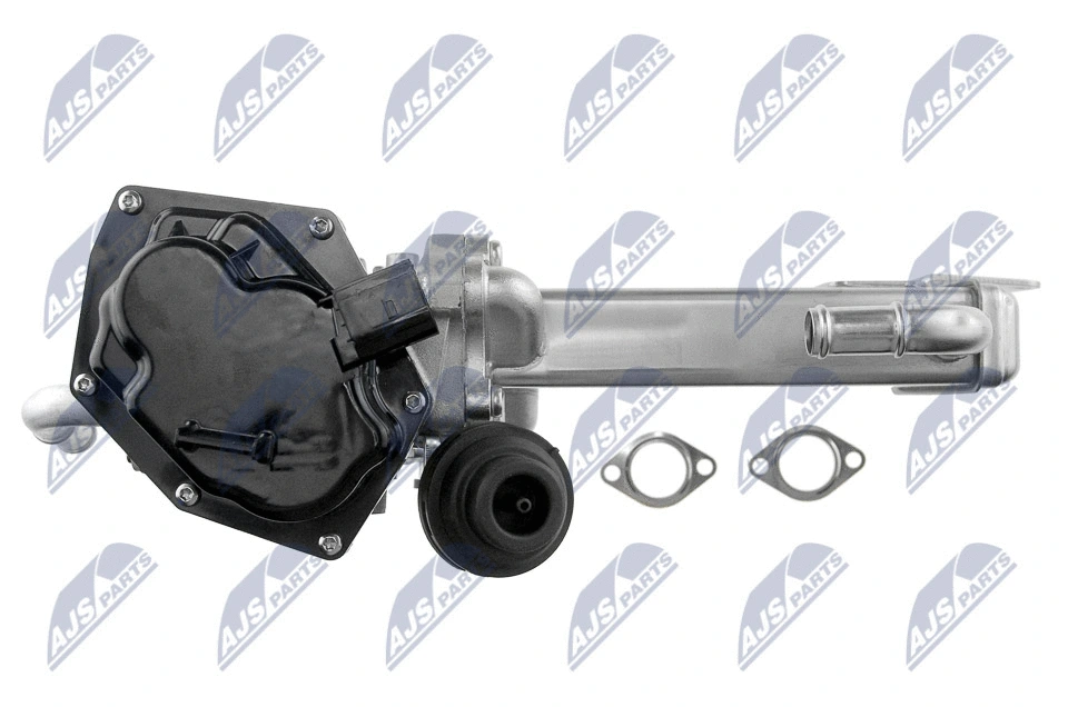 EGR Module