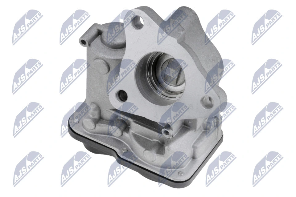 EGR Valve (EGR-RE-019)