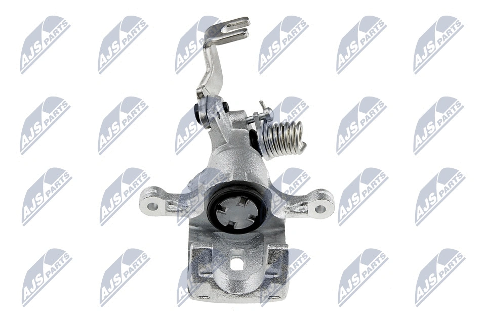 Brake Caliper (HZT-NS-004)