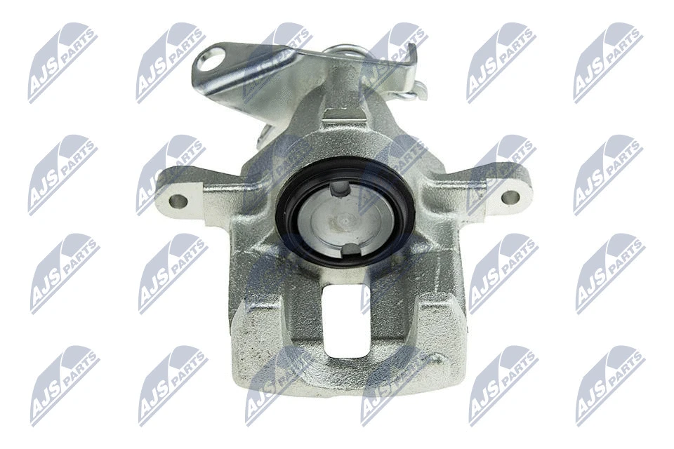 Brake Caliper (HZT-JG-004)